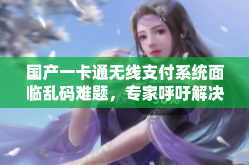 國(guó)產(chǎn)一卡通無線支付系統(tǒng)面臨亂碼難題，專家呼吁解決。