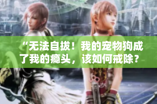 “無(wú)法自拔！我的寵物狗成了我的癮頭，該如何戒除？”