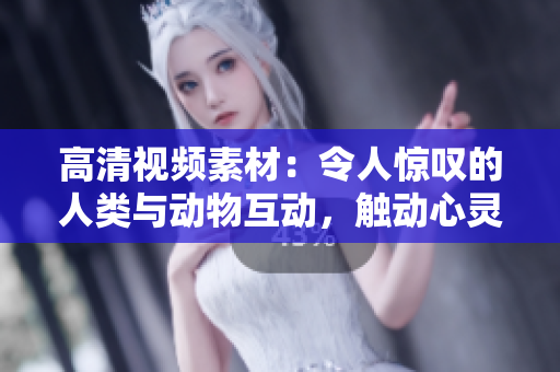 高清視頻素材：令人驚嘆的人類與動(dòng)物互動(dòng)，觸動(dòng)心靈