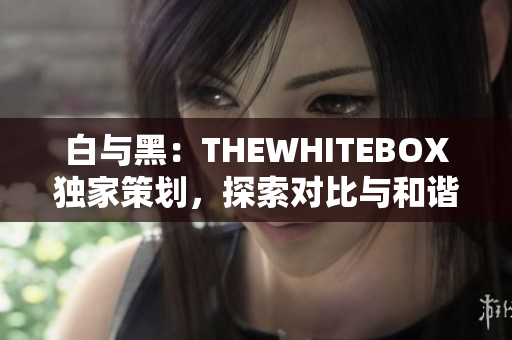 白與黑：THEWHITEBOX獨家策劃，探索對比與和諧