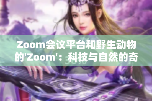 Zoom會議平臺和野生動物的'Zoom'：科技與自然的奇妙對話