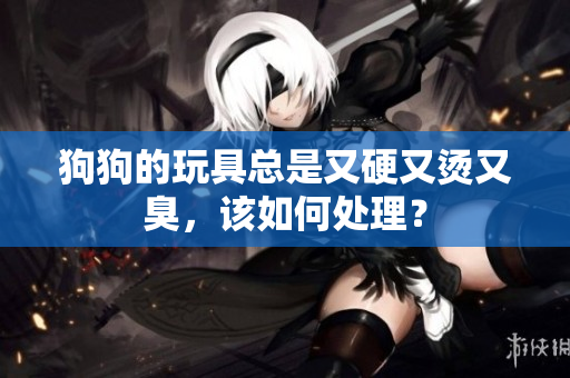 狗狗的玩具總是又硬又燙又臭，該如何處理？