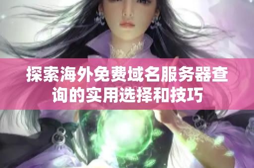 探索海外免費域名服務器查詢的實用選擇和技巧