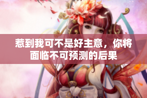 惹到我可不是好主意，你將面臨不可預(yù)測的后果