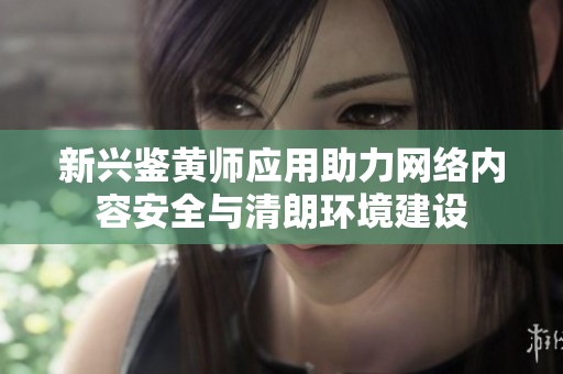 新興鑒黃師應用助力網(wǎng)絡內(nèi)容安全與清朗環(huán)境建設