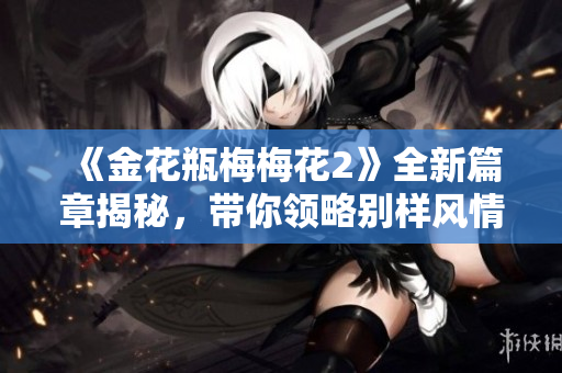 《金花瓶梅梅花2》全新篇章揭秘，帶你領(lǐng)略別樣風(fēng)情與動人故事